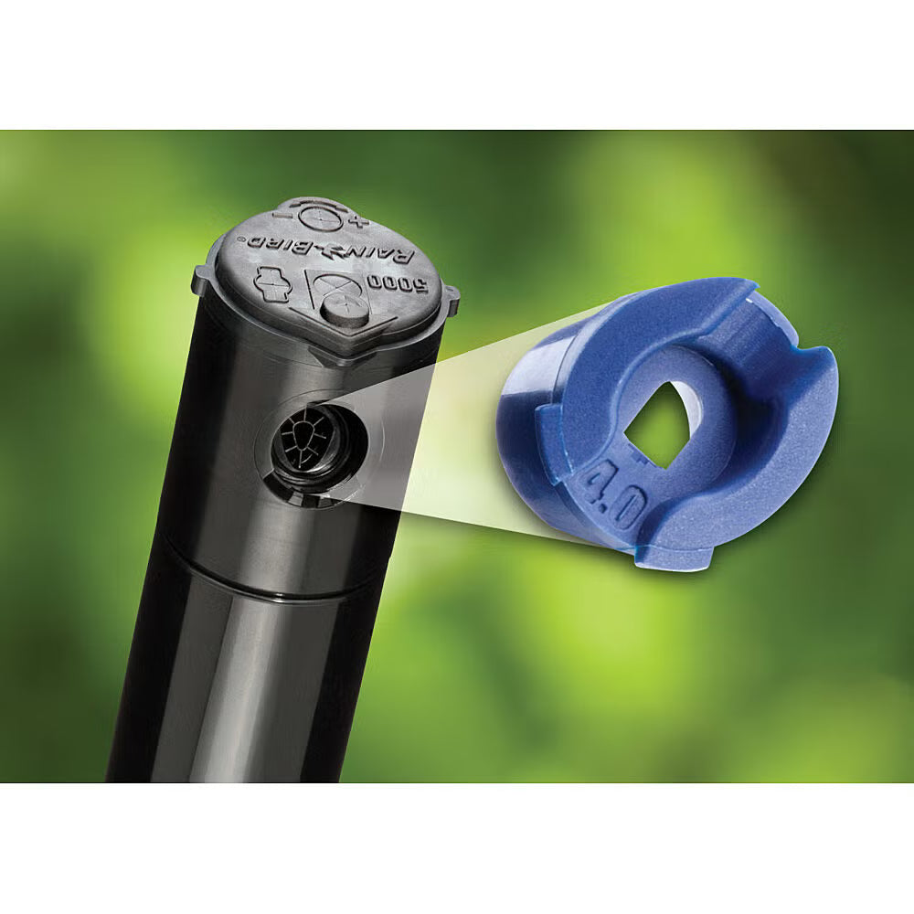 Black garden Rain Bird 5004 sprinkler head with a blue filter on a green background