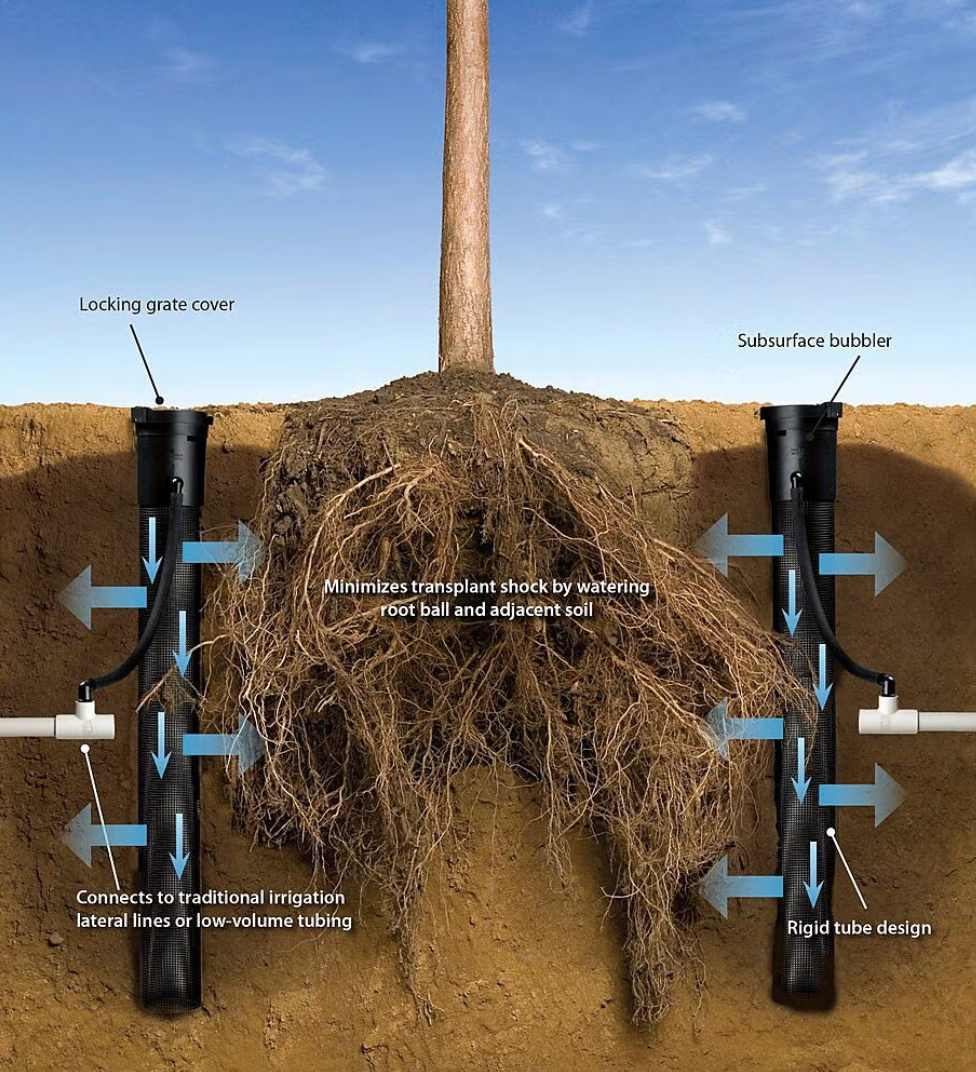 Illustration of a tree being watered with Rainbird Root watering System Long Basket I rrigation system components labeled.