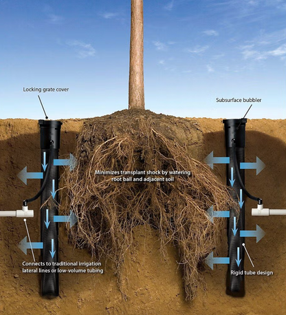 Illustration of a tree being watered with Rainbird Root watering System Long Basket I rrigation system components labeled.
